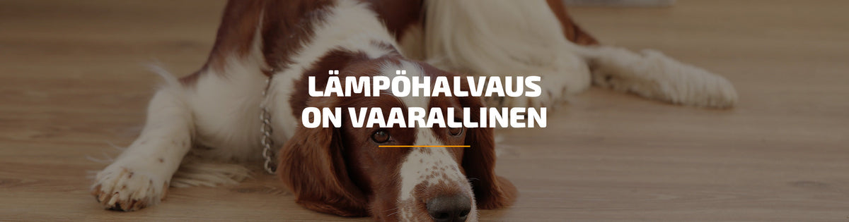 Lämpöhalvaus on vaarallinen