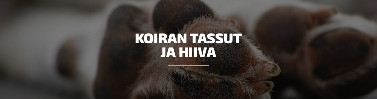 koiran-tassut-ja-hiiva