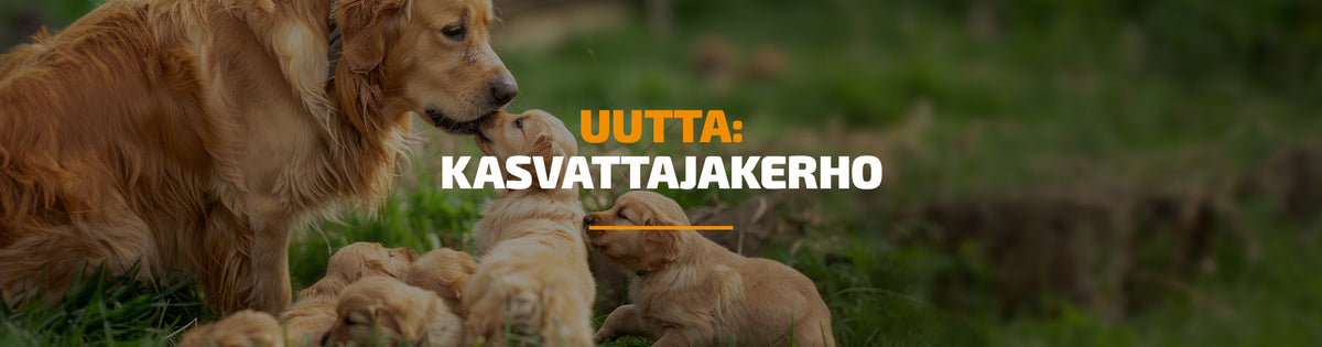 Kasvattajakerho