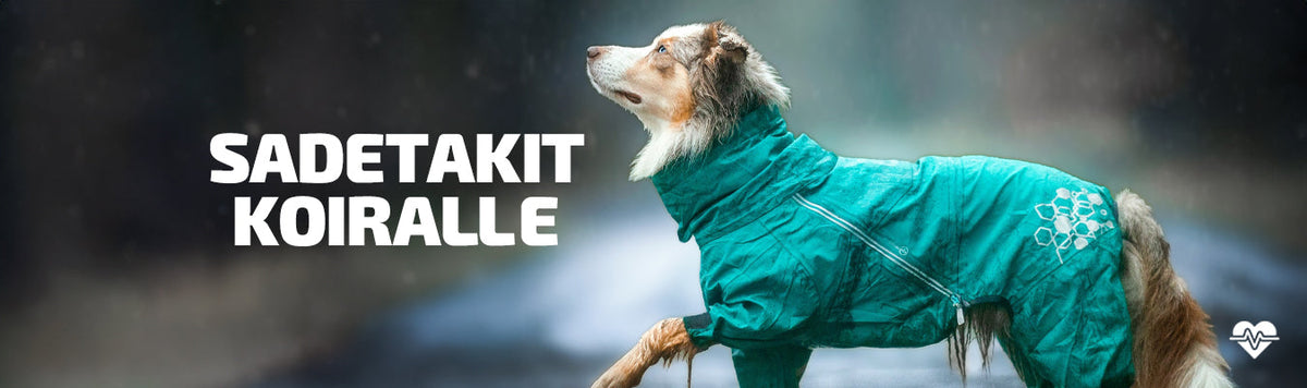 Sadetakit koiralle