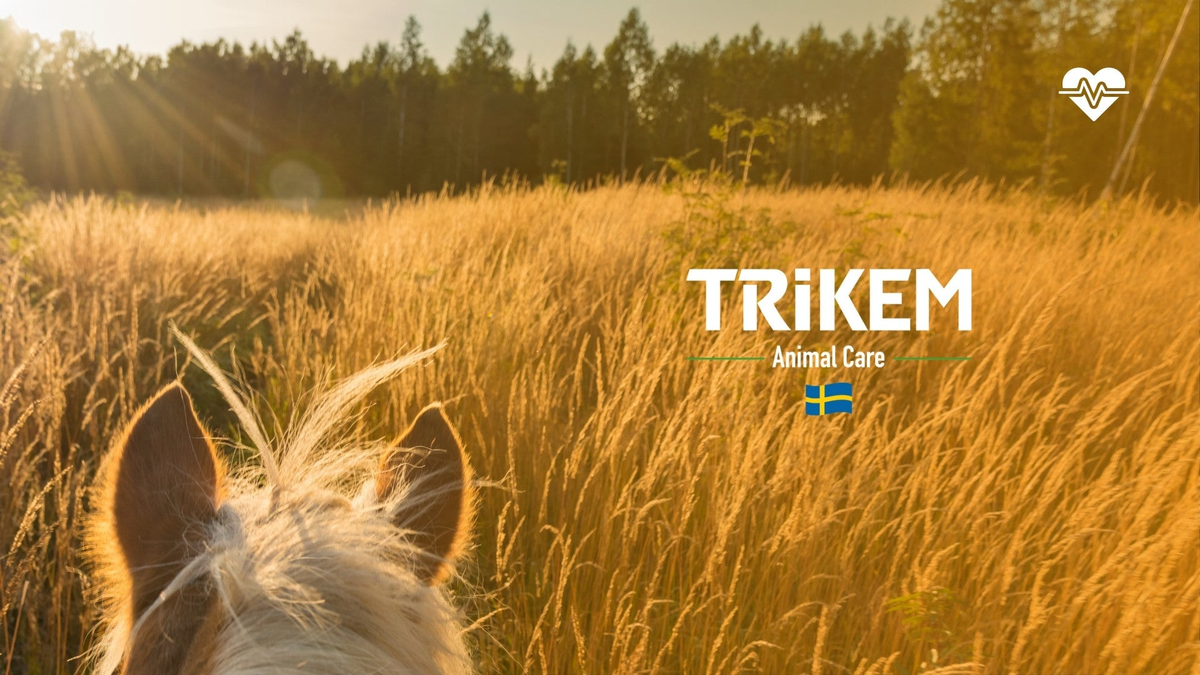 TRIKEM