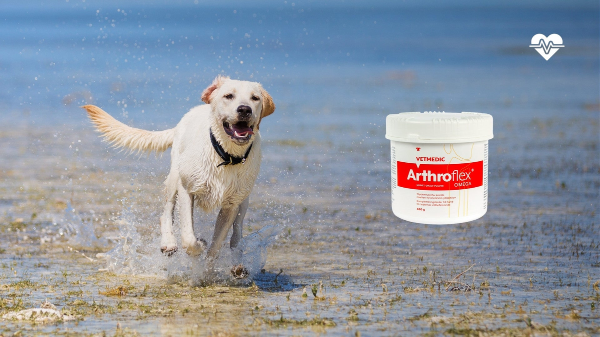ARTHROFLEX