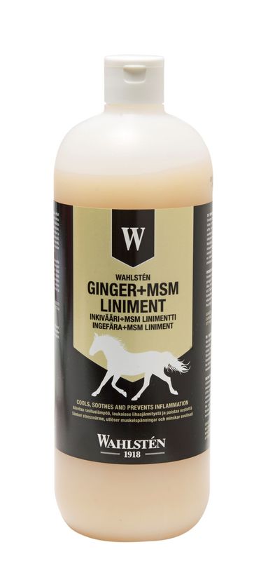 Wahlsten Inkivääri + MSM linimentti 1 L