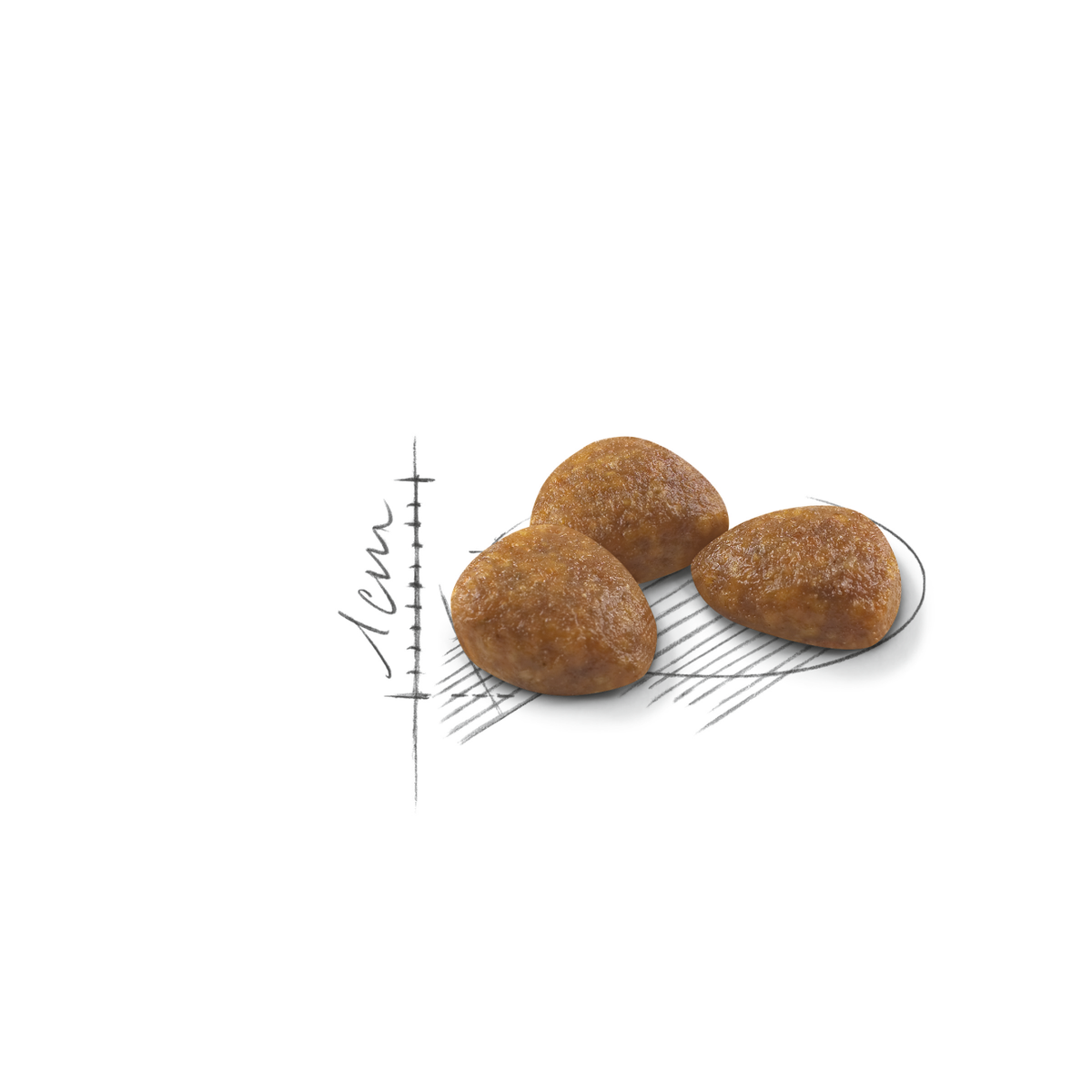 Royal Canin Outdoor 7+ kissalle 2 kg