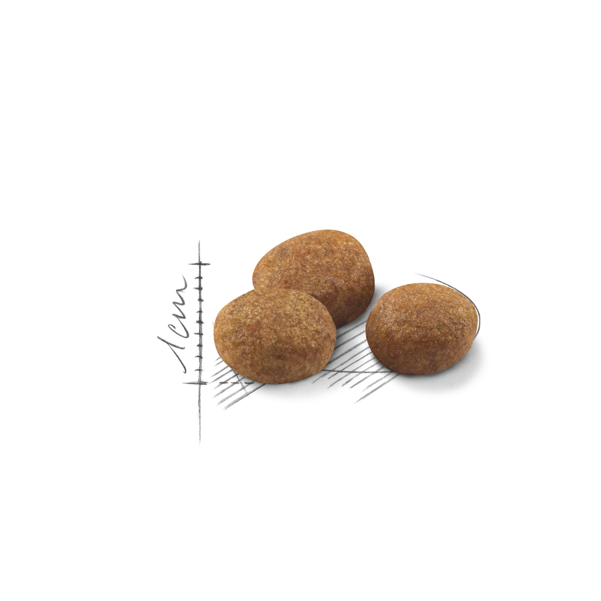Royal Canin Sterilised 7+ kissalle