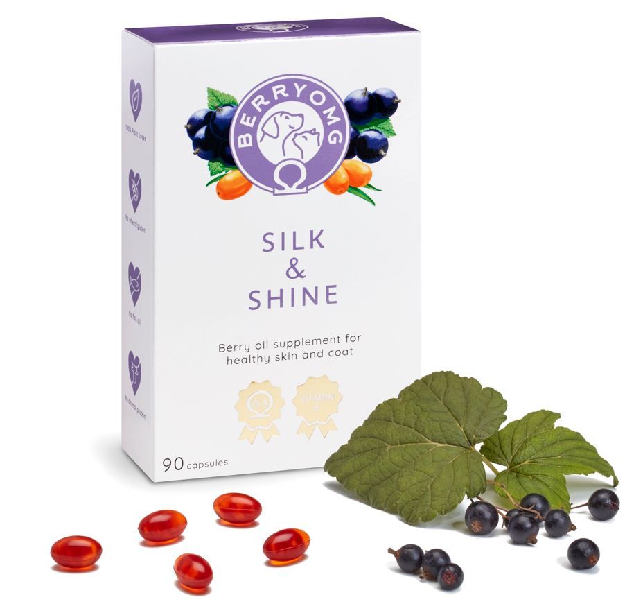 BERRYOMG Silk & Shine koiralle ja kissalle 90 kapselia