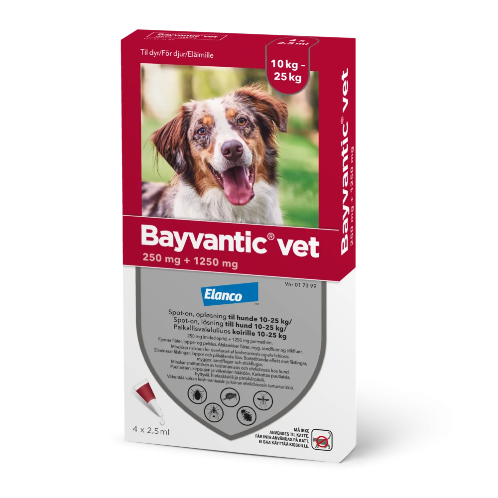 Bayvantic vet 250/1250 mg 4 x 2.5 ml paikallisvaleluliuos koirille 10–25 kg