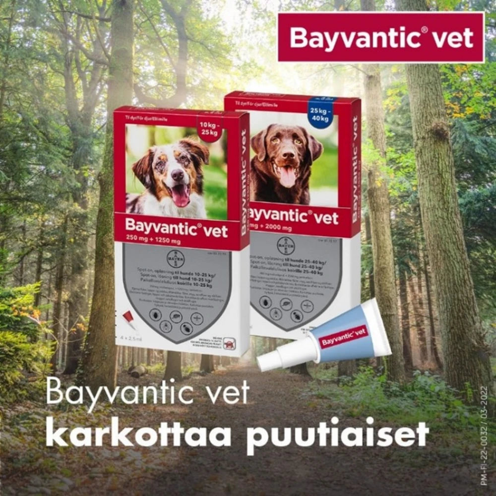 Bayvantic vet 400/2000 mg 4 x 4 ml paikallisvaleluliuos koirille 25–40 kg