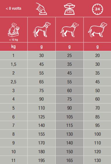Specific CXD-S Adult Small Breed koiralle