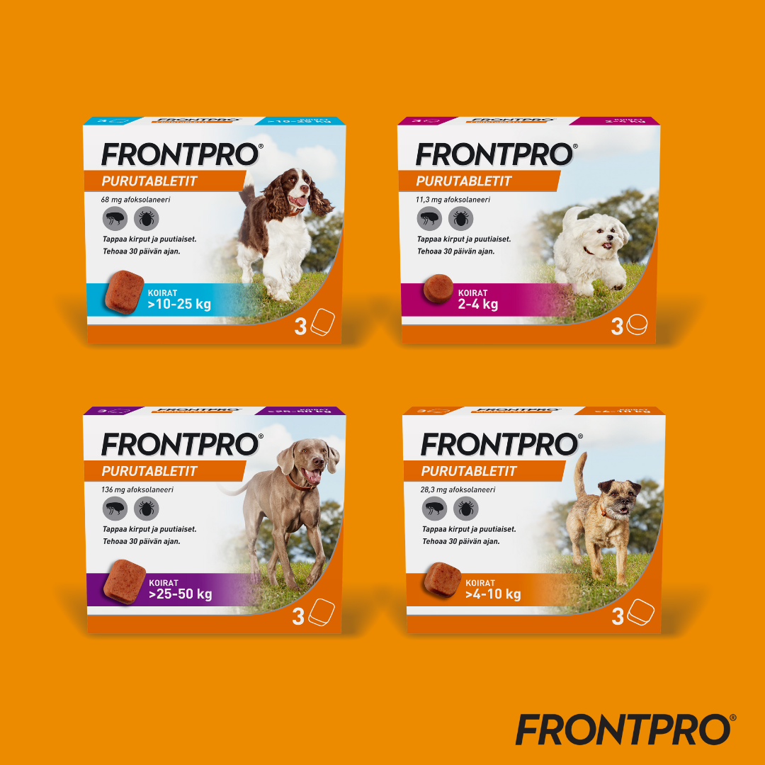 Frontpro 28.3 mg purutabletti 4-10 kg koiralle 3 kpl