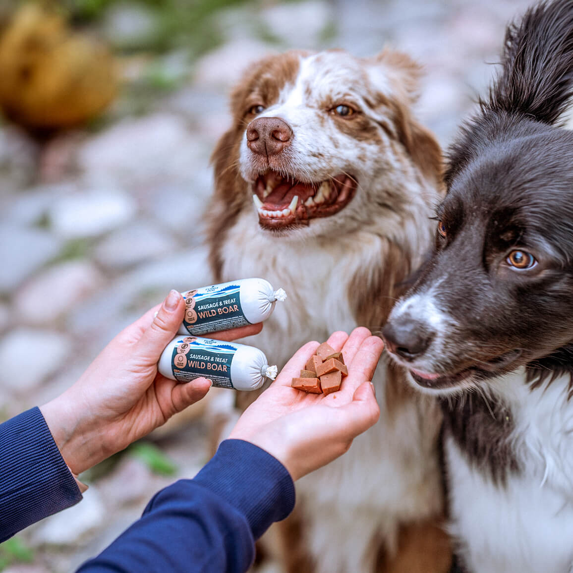 PrimaDog Treenimakkara Ankka koiralle 80 g