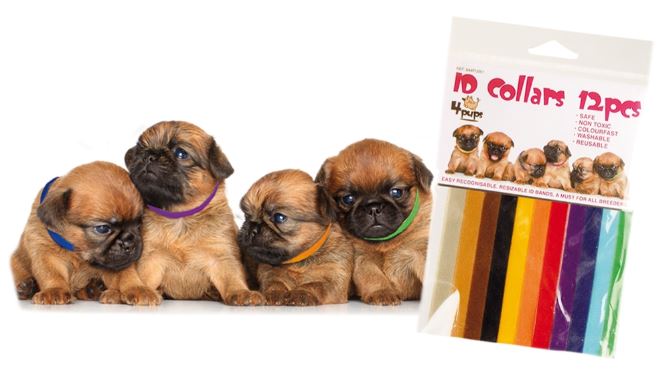Transgroom 4pups koiranpentujen merkkauspannat 12 kpl