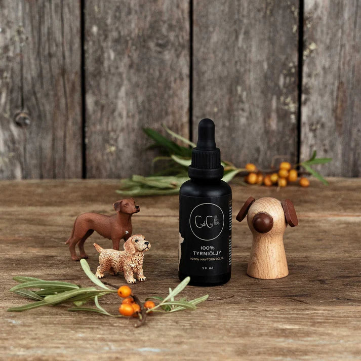 Chia de Gracia CdG Sea buckthorn Tyrniöljy koirille 50 ml