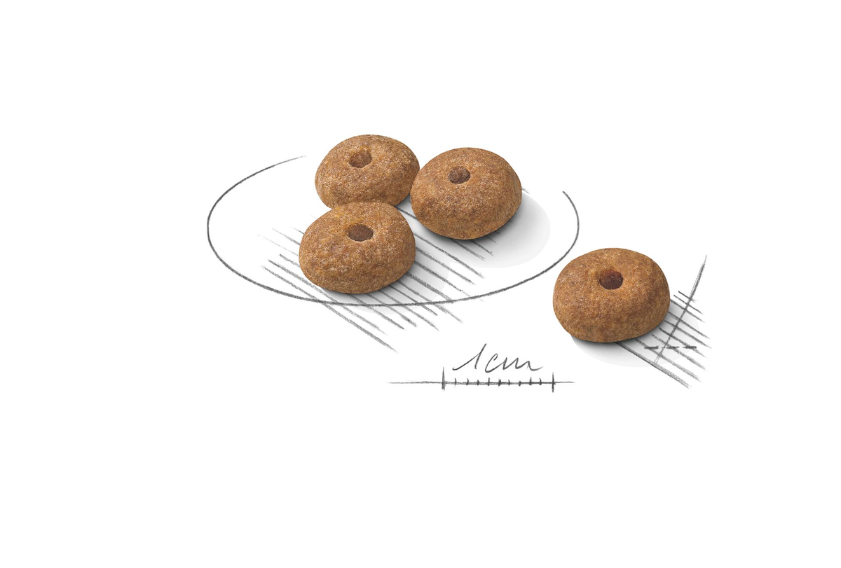 Royal Canin Sterilised Mini koiralle