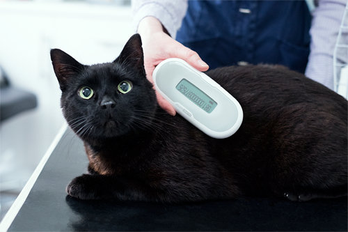 Suresense lukija (thermo) mikrosirunlukija