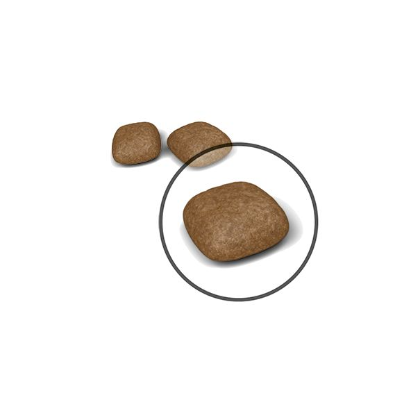 Royal Canin Urinary Care kissalle