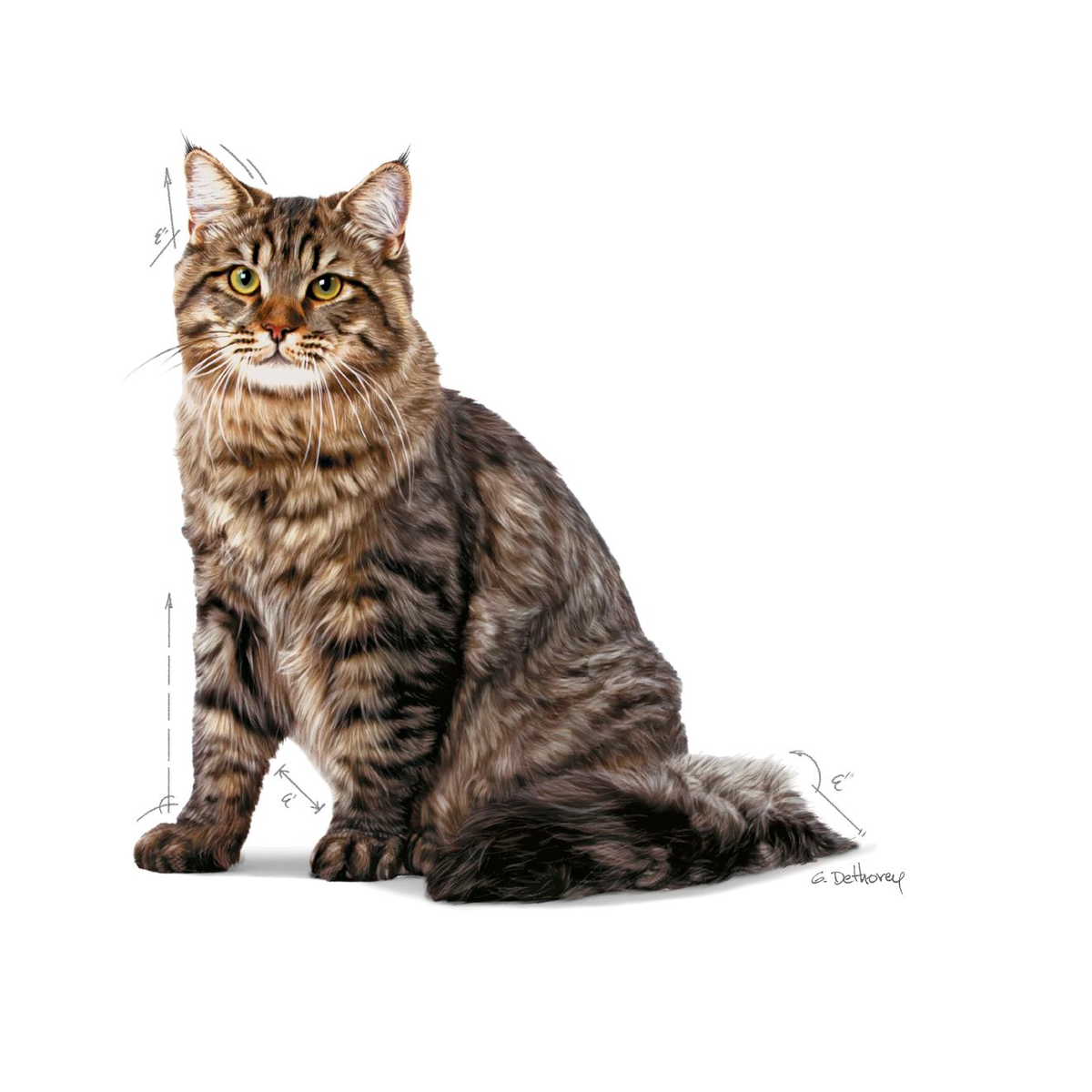 Royal Canin Urinary Care kissalle