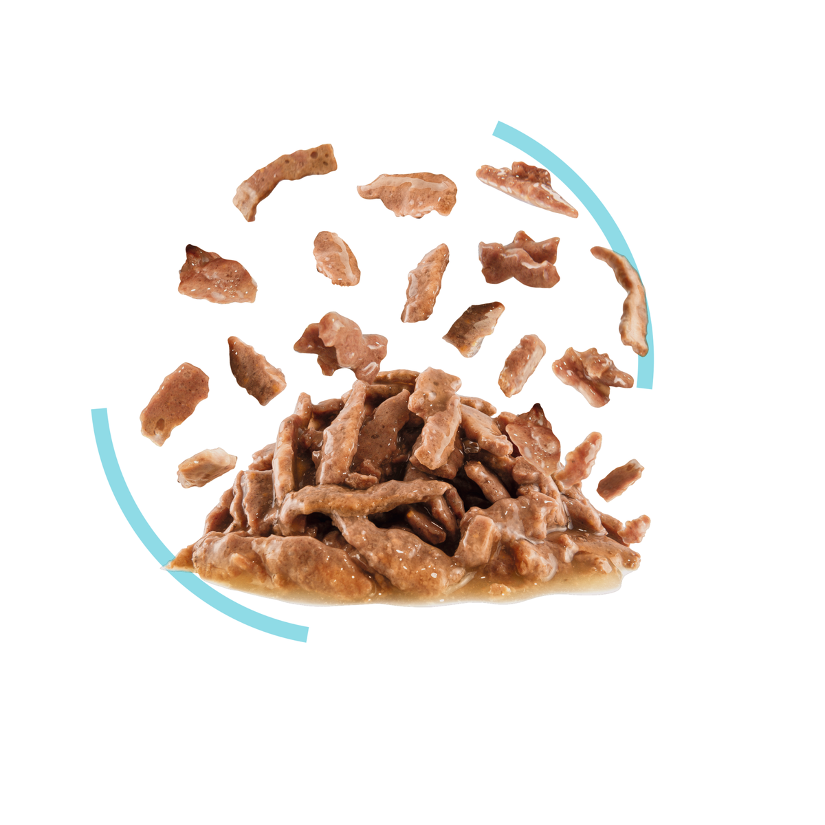 Royal Canin Sensory Feel Gravy kissalle 12 x 85 g