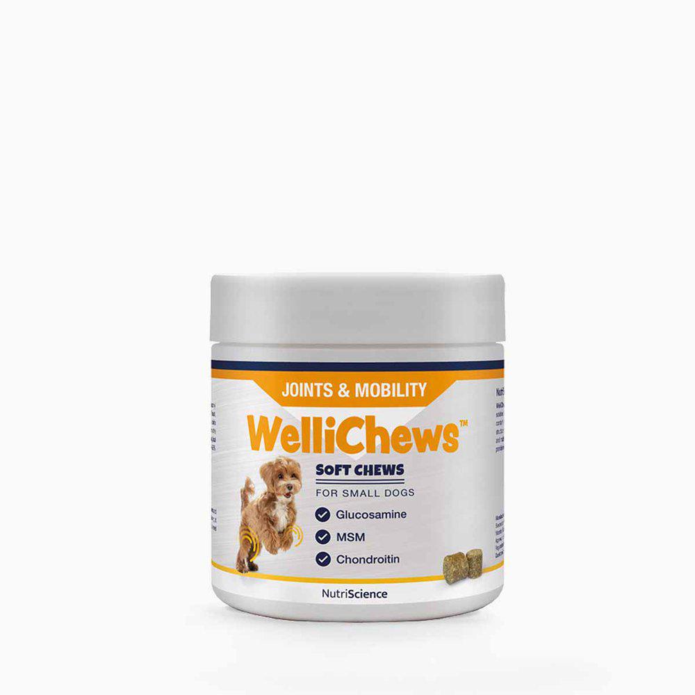 Wellichews Joints & Mobility pienelle koiralle ja kissalle 120 kpl