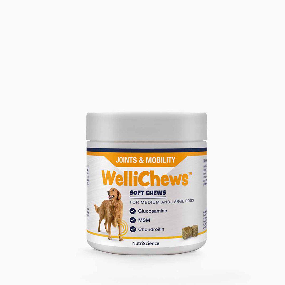 Wellichews Joints & Mobility medium & large breed 60 kpl
