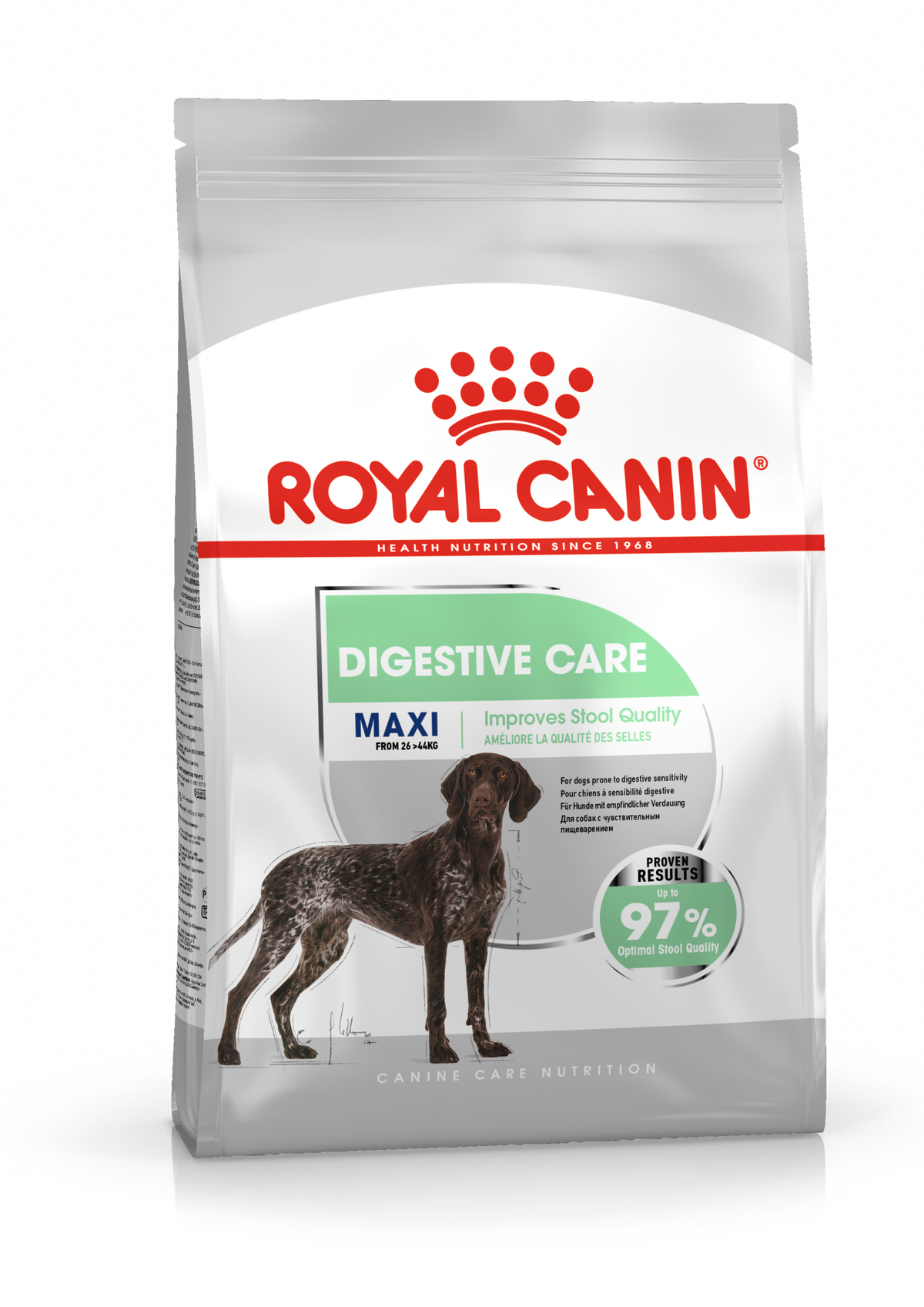 Royal Canin Digestive Care Maxi koiralle 12 kg