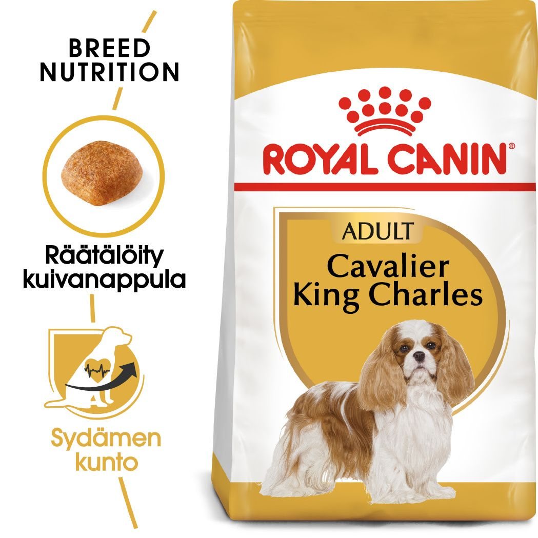 Royal Canin Cavalier King Charles Adult koiralle