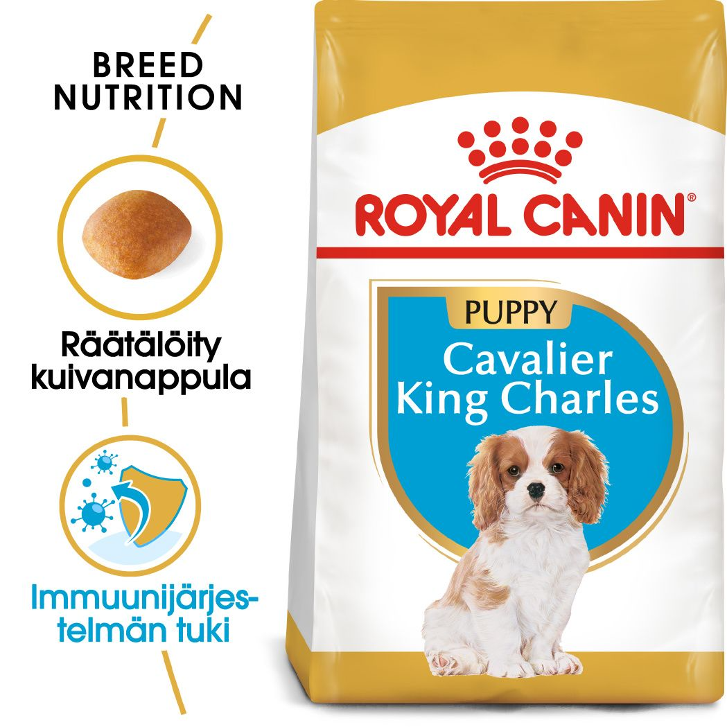 Royal Canin Cavalier King Charles Puppy koiralle 1,5kg
