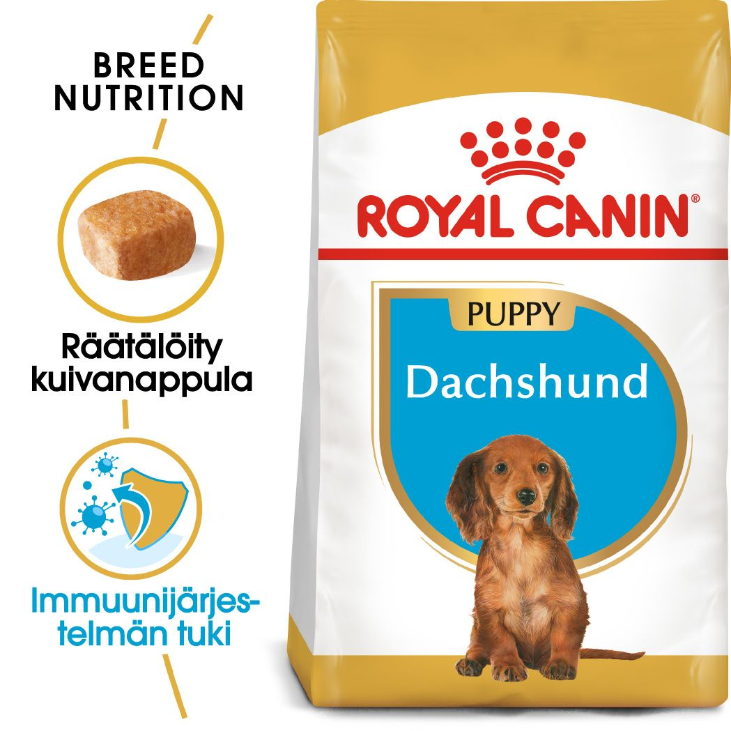 Royal Canin Dachshund Puppy koiralle 1,5 kg