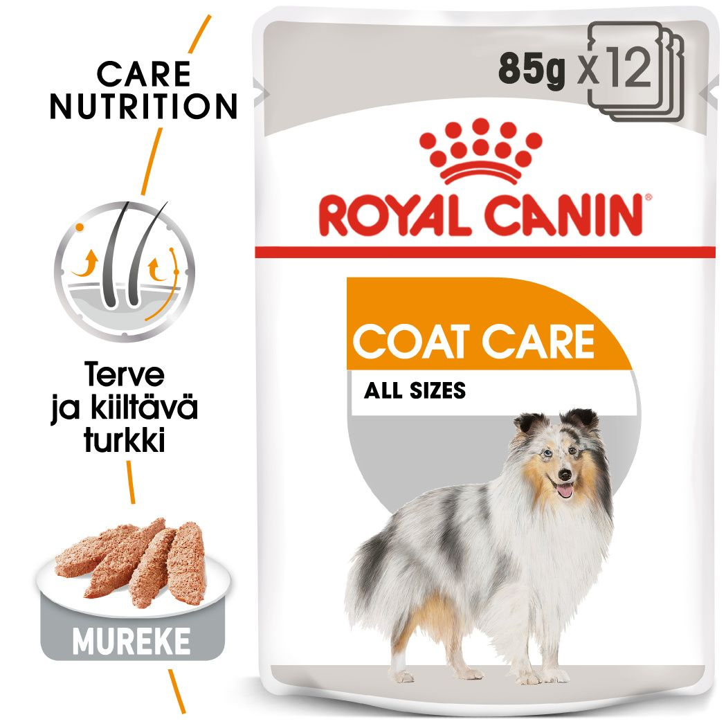 Royal Canin Coat Care koiralle 12 x 85 g