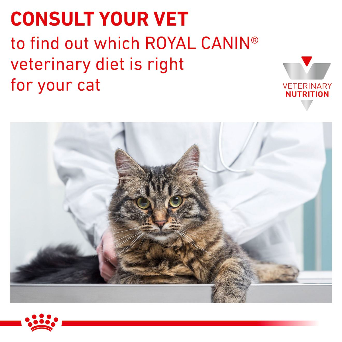 Royal Canin Veterinary Diets Derma Sensitivity Control kissan kuivaruoka