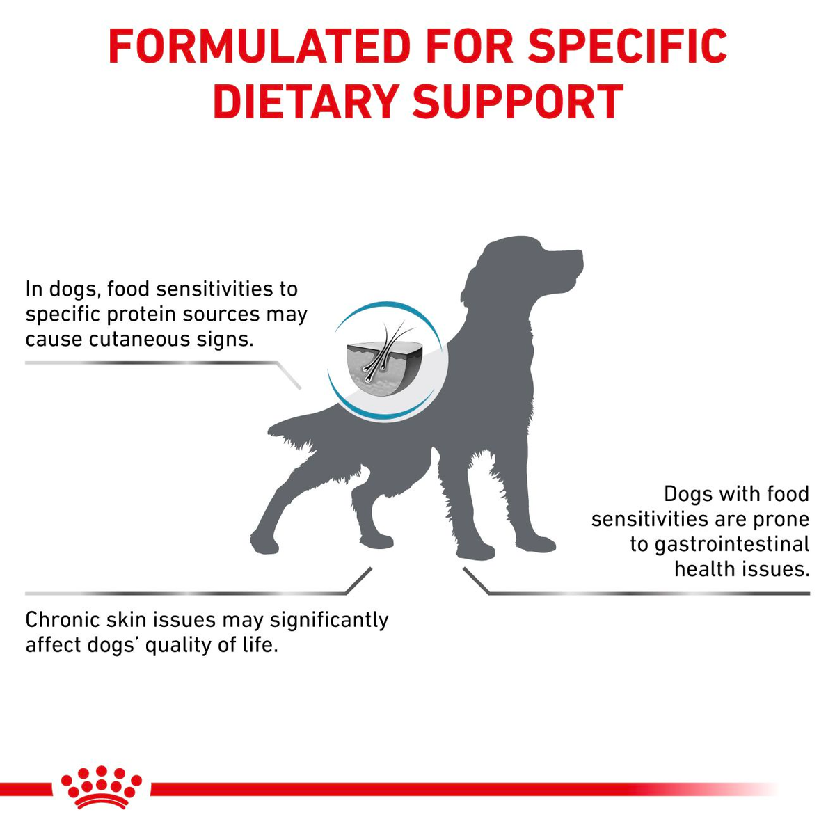 Royal Canin Veterinary Diets Derma Hypoallergenic koiran kuivaruoka 2 x 14 kg TUPLAPAKKAUS