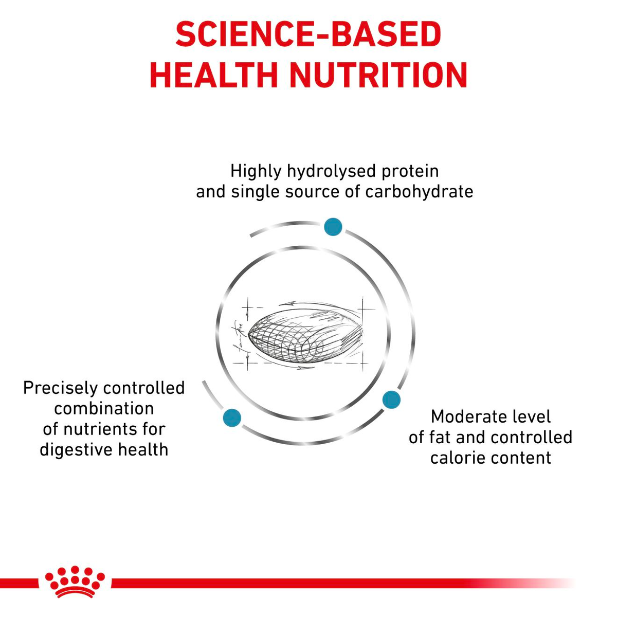 Royal Canin Veterinary Diets Derma Hypoallergenic Moderate Calorie koiran kuivaruoka
