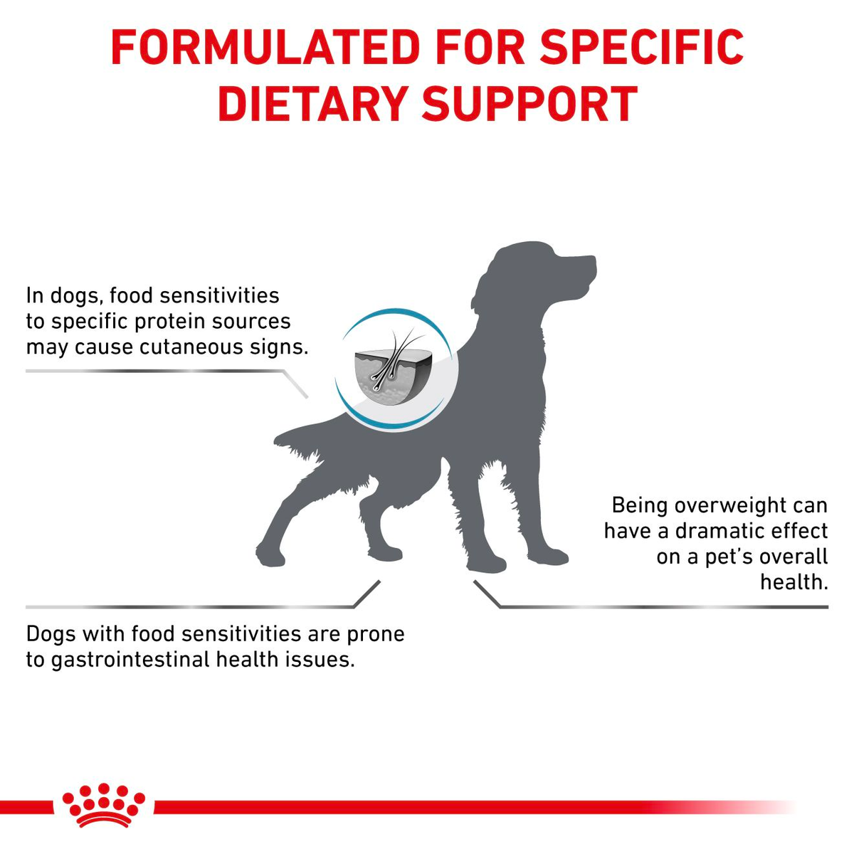 Royal Canin Veterinary Diets Derma Hypoallergenic Moderate Calorie koiran kuivaruoka