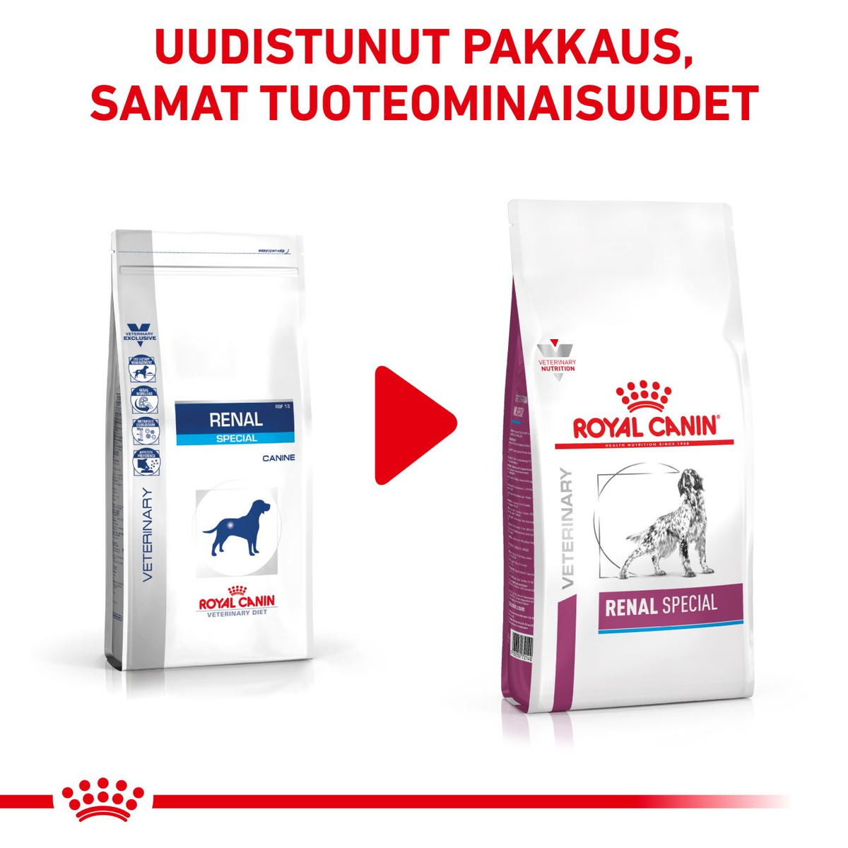 Royal Canin Veterinary Diets Renal Special koiran kuivaruoka 10 kg