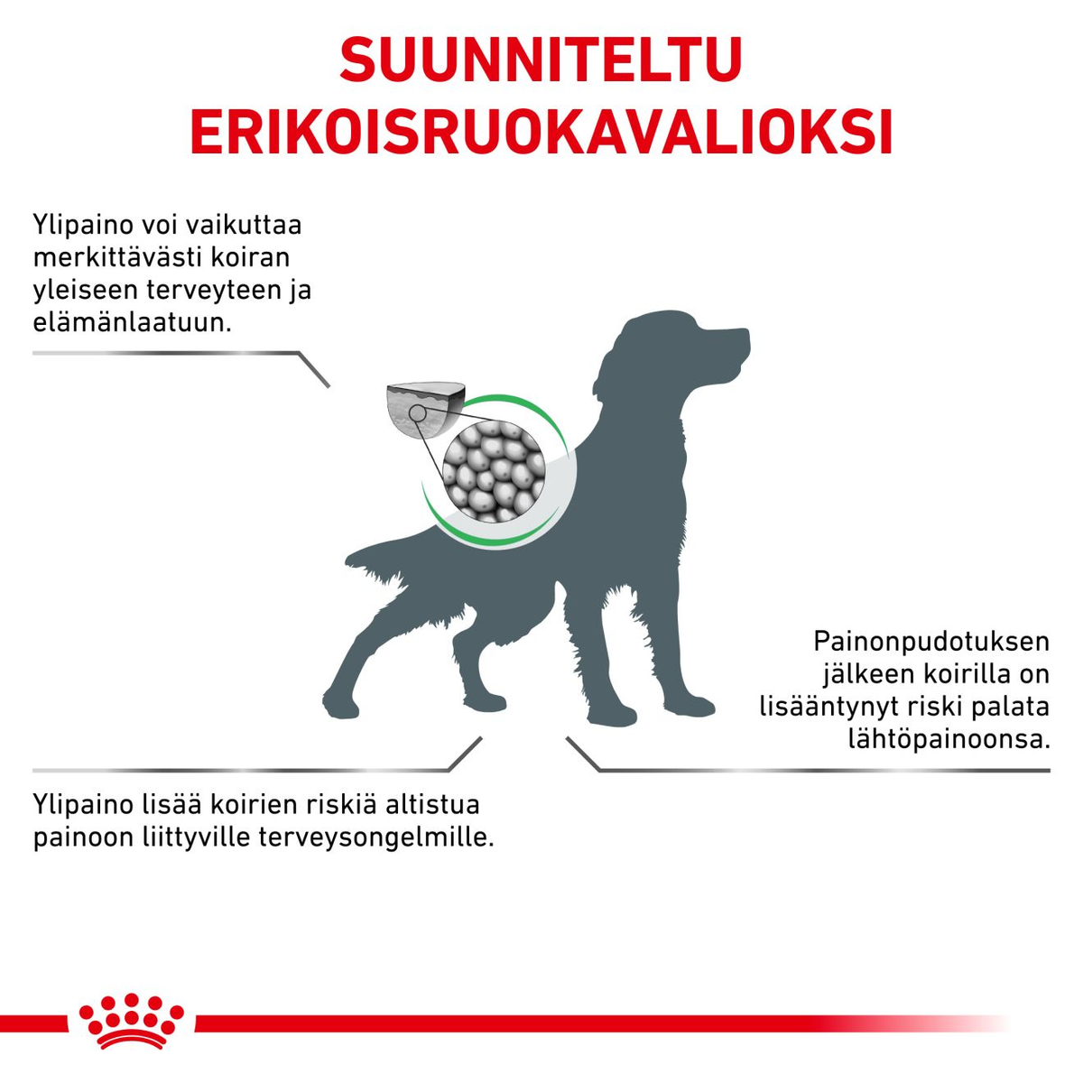 Royal Canin Veterinary Diets Weight Management Satiety koiran kuivaruoka 2 x 12 kg TUPLAPAKKAUS