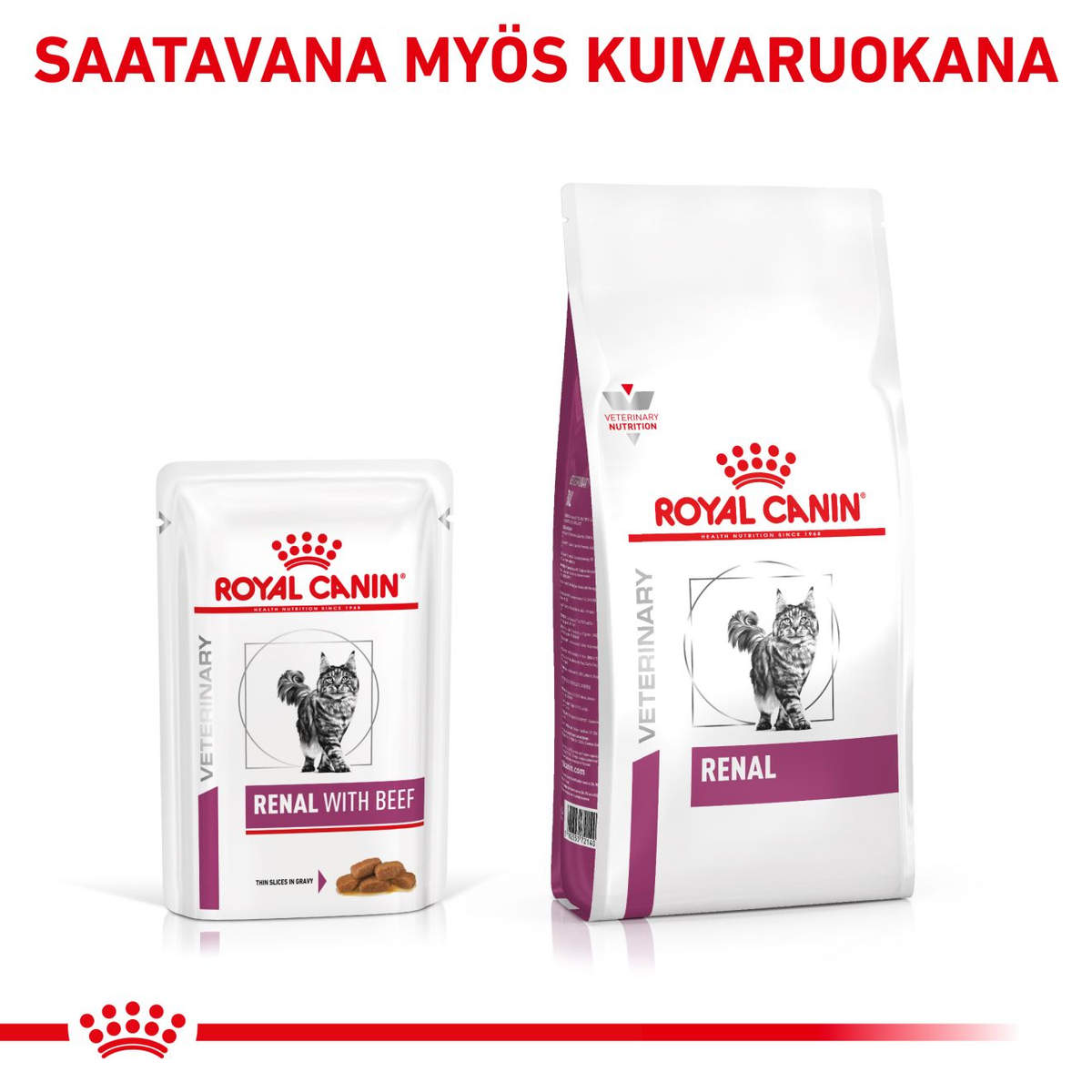 Royal Canin Veterinary Diets Renal Beef kissan märkäruoka 12 x 85 g