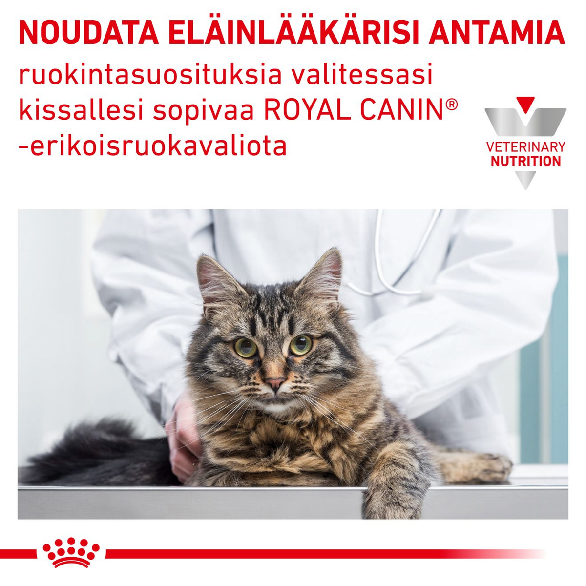 Royal Canin Veterinary Diets Urinary S/O Loaf annospussi kissan märkäruoka 12 x 85 g