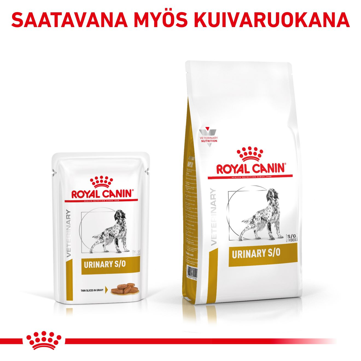 Royal Canin Veterinary Diets Urinary S/O CIG annospussi koiran märkäruoka 12 x 100 g