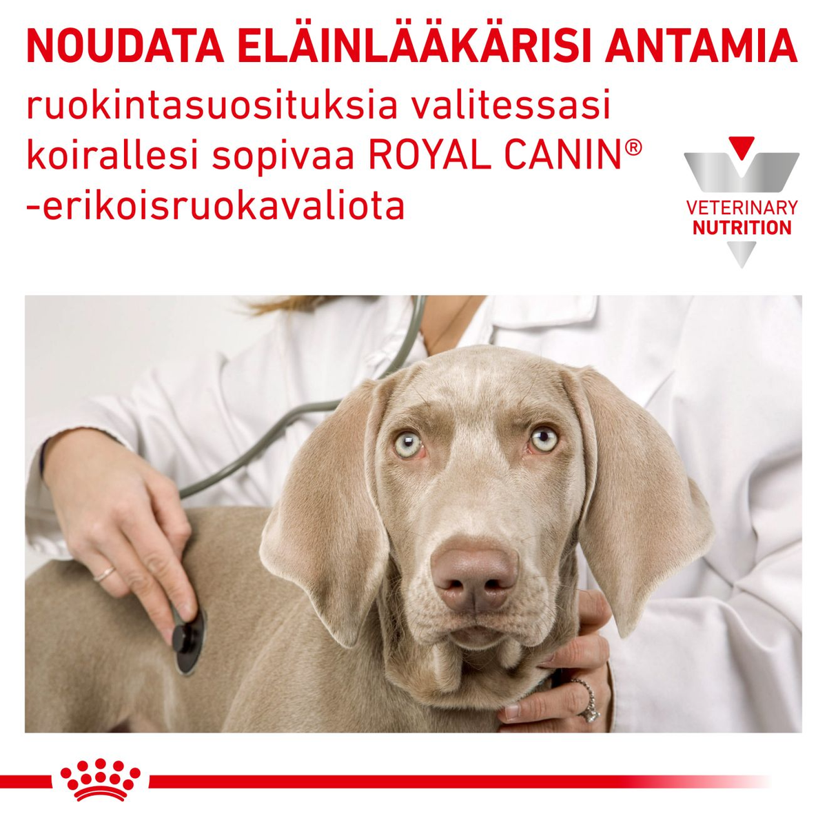 Royal Canin Veterinary Diets Urinary S/O Loaf säilykepurkki koiran märkäruoka 12 x 410 g