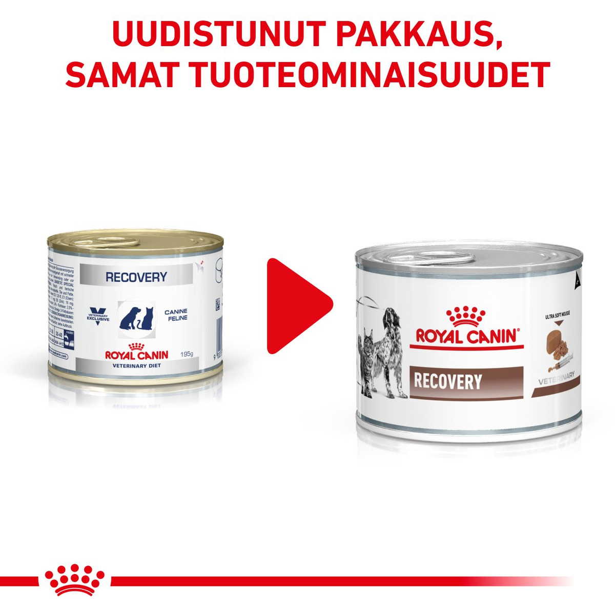 Royal Canin Veterinary Diets Gastrointestinal Recovery Ultra Soft Mousse säilykepurkki kissoille ja koirille märkäruoka 195 g MAISTELUPAKKAUS