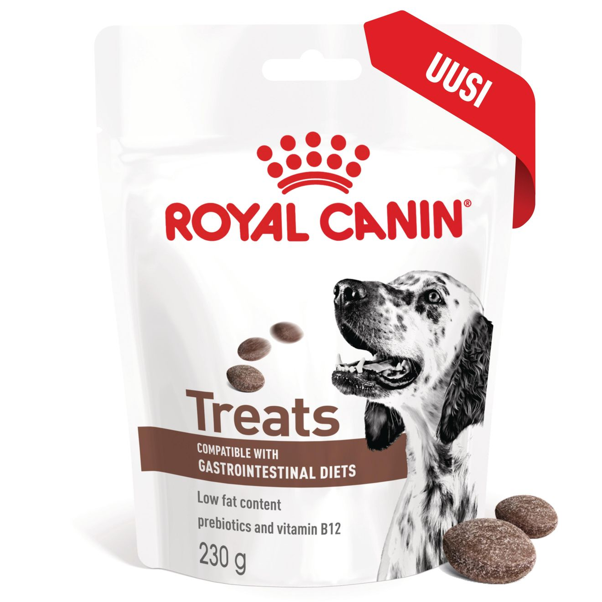 Royal Canin Gastrointestinal Treats koirille 230 g