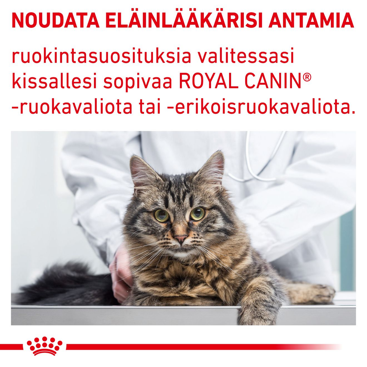 Royal Canin Veterinary Diets Mature Consult kissan kuivaruoka 3,5 kg