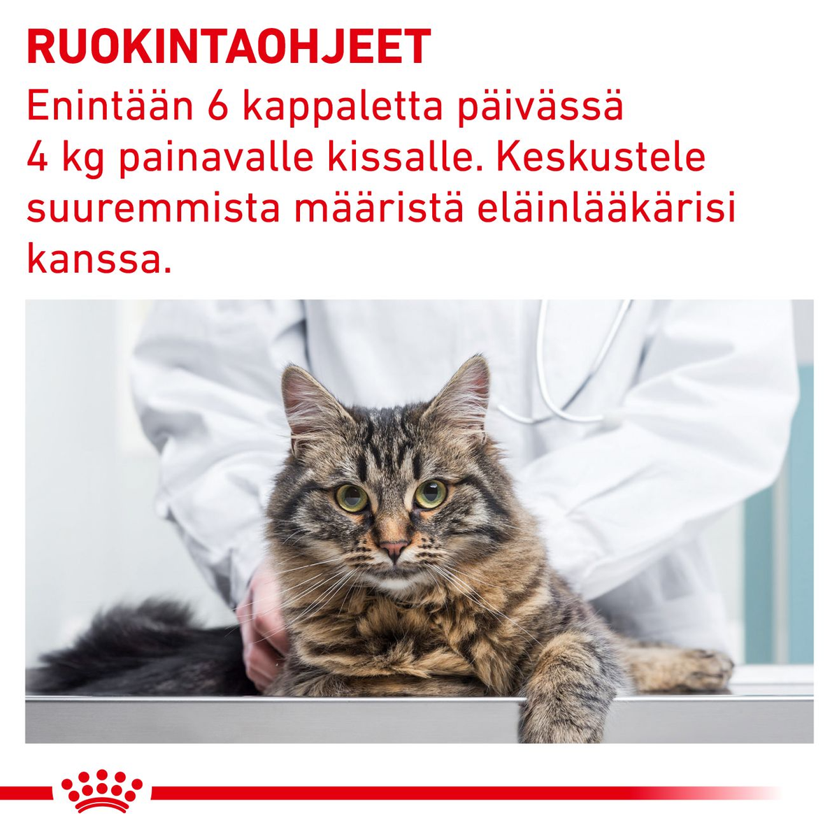 Royal Canin Veterinary Diets Pill Assist kissalle 45 g