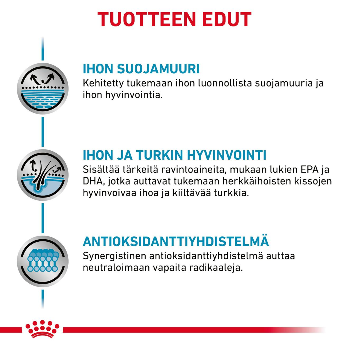 Royal Canin Veterinary Diets Derma Skin & Coat annospussi kissan märkäruoka 12 x 85 g