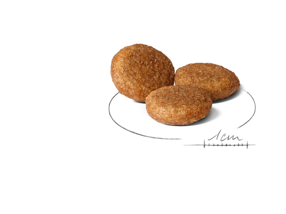 Royal Canin Medium Adult koiralle