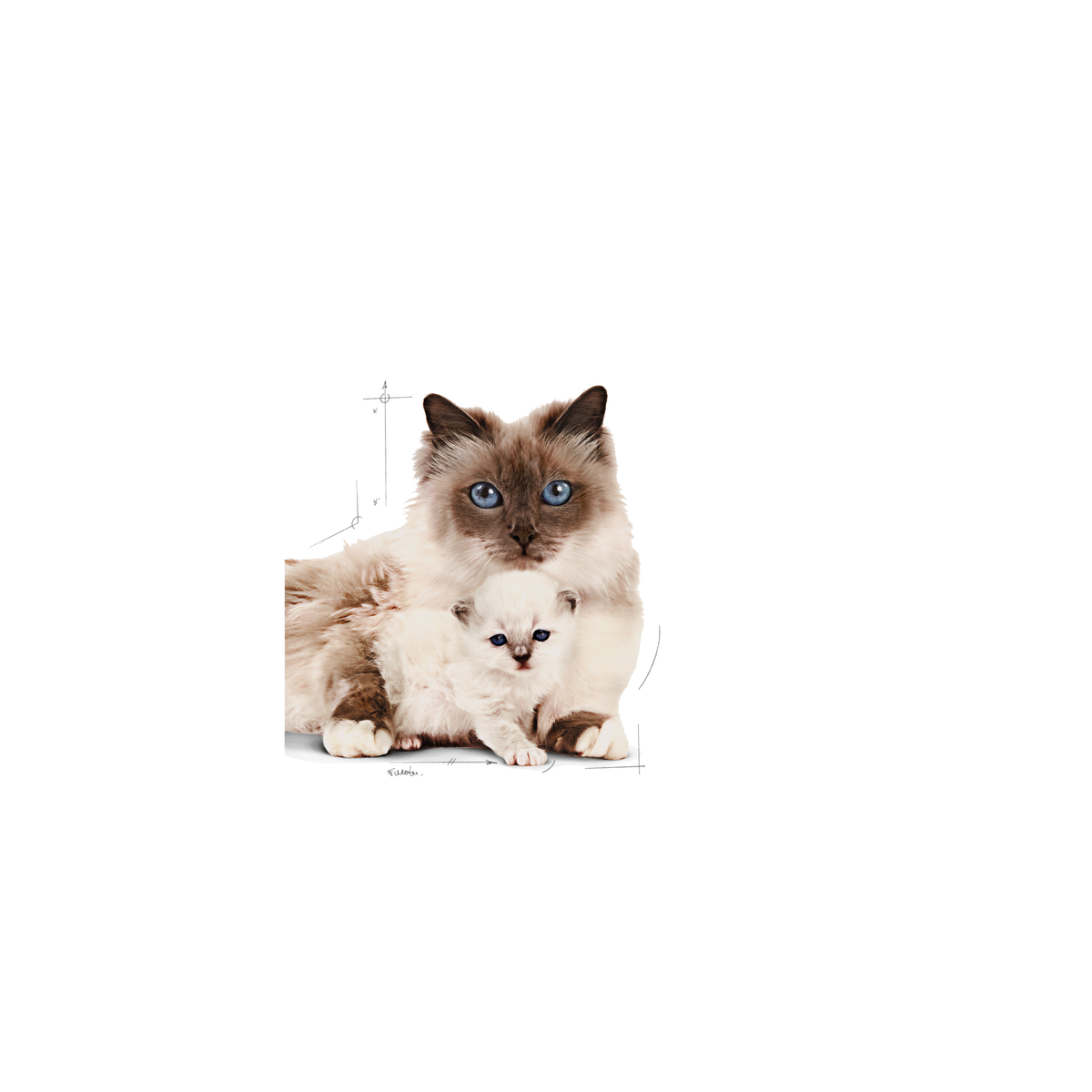 Royal Canin Mother & Babycat kissalle