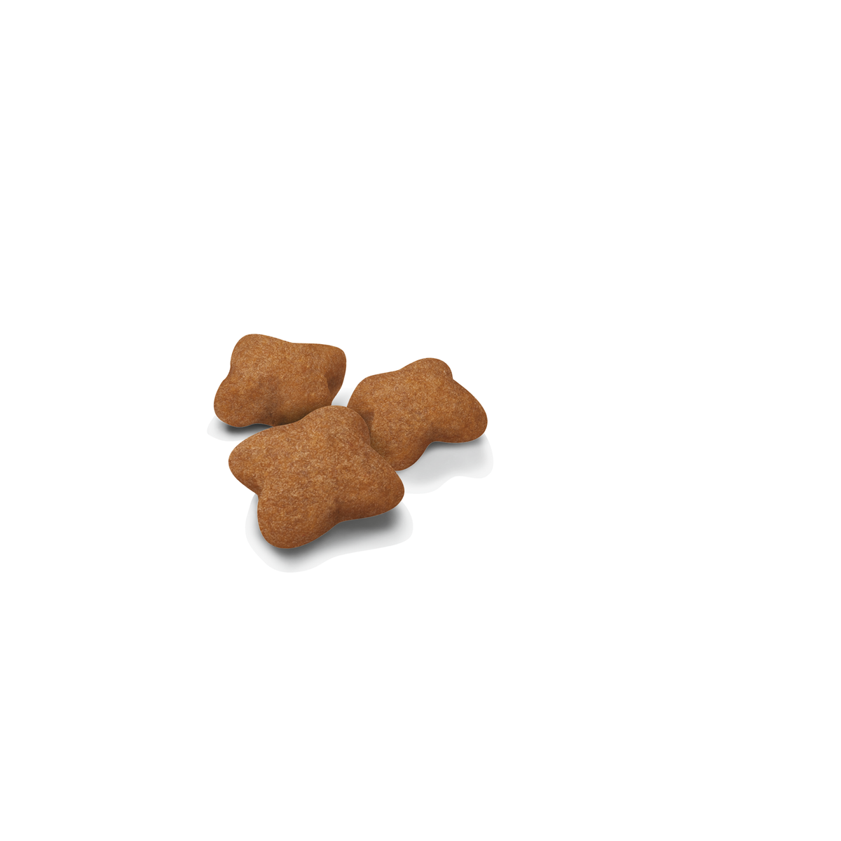 Royal Canin Kitten Sterilised kissalle