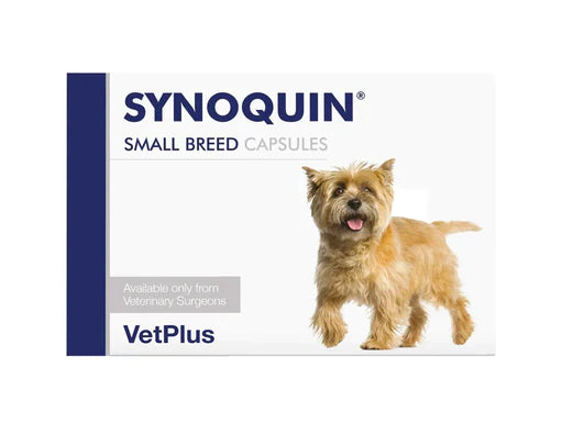 Synoquin Small Breed koiralle 30 kapselia