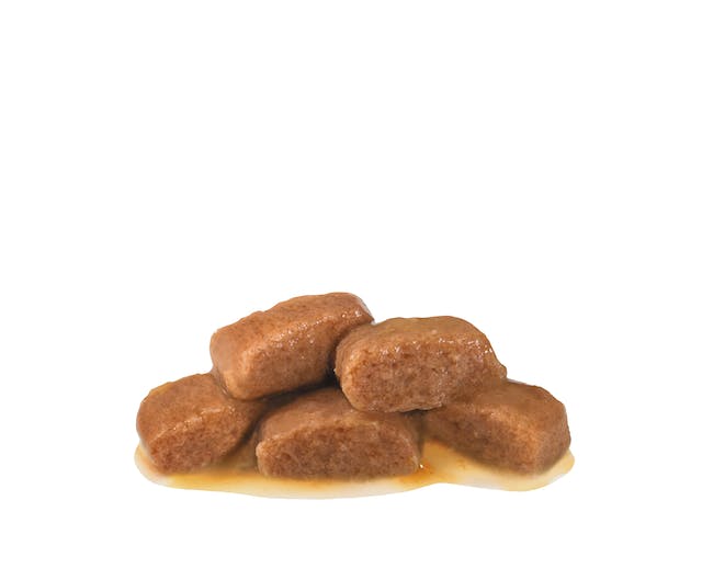 Royal Canin Veterinary Diets Gastrointestinal Fibre Response Chunks in Gravy Pouch kissan märkäruoka 12 x 85 g
