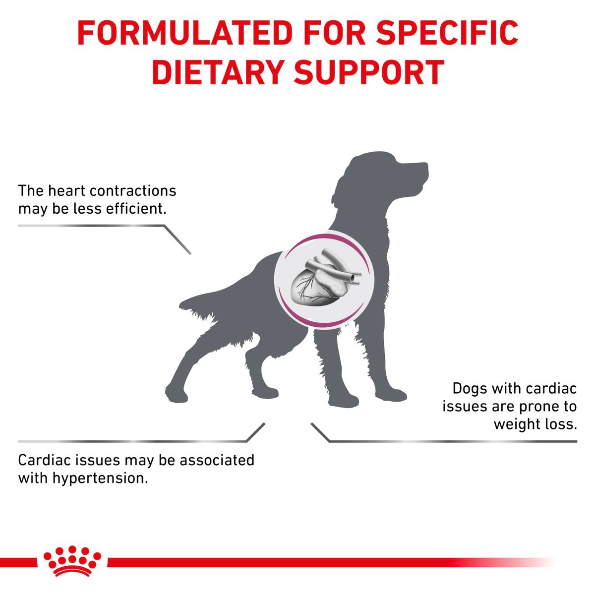 Royal Canin Veterinary Diets Vital Cardiac koiran kuivaruoka 7,5 kg